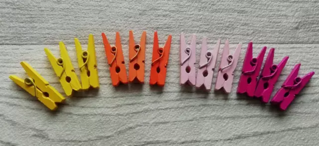 12 Pequeñas clavijas de madera selección de color 2cm talla