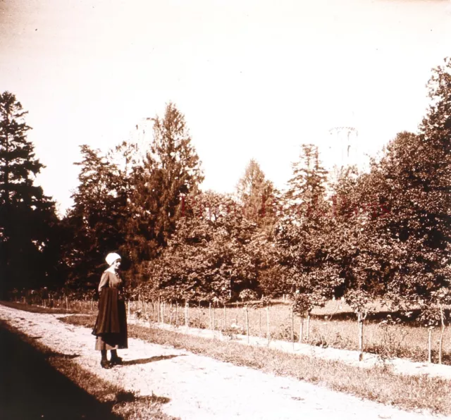 Paysage Femme Mode c1930 Photo Plaque de verre Stereo Vintage V33L17n