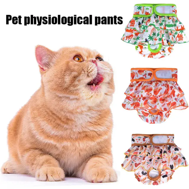 Perro Princesa Mascota Bragas Mascota Fisiológico Pantalones Femenino P <