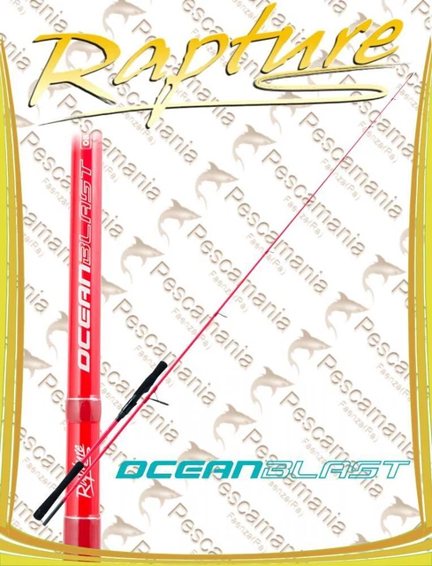 Penn Battalion Solid Offshore Casting Rod - Cannes pêche en mer