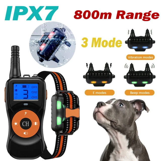 1000M Entrenador a distancia Collar Educativo Perros Vibración y Sonido Función NUEVO DHL