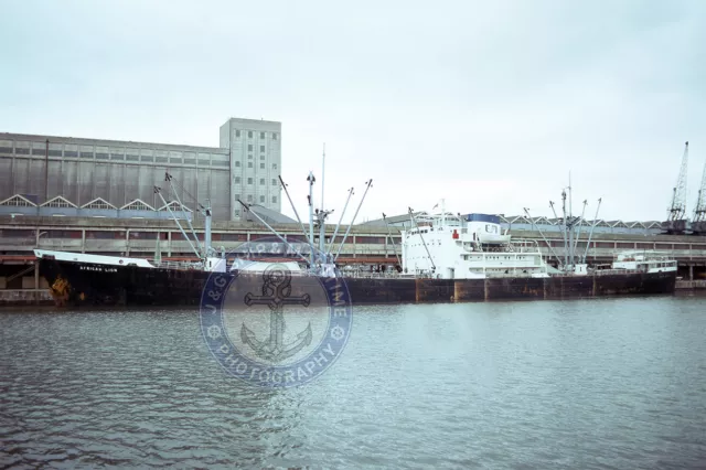 Ship Photo - Classic Cargo Ship AFRICAN LION - 6X4 (10X15) Photograph