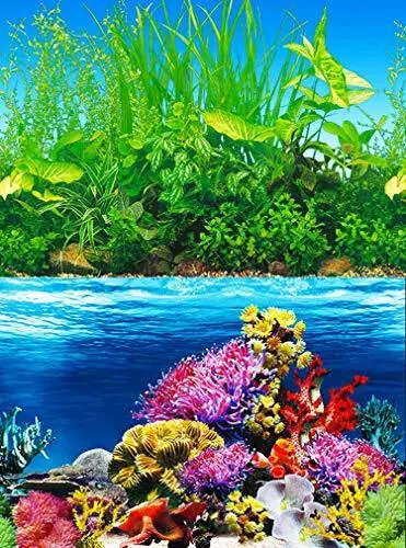 Fish Backgrounds Paper Double Sides Aquarium Background Picture Colorful Fish...