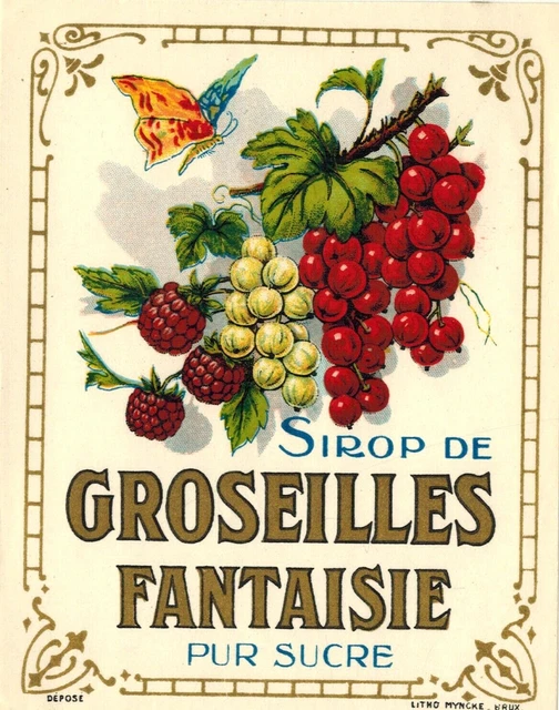 Étiquette Sirop Motte-Tourtel 1930