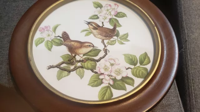 Pre-owned Pair Of Spode England Birds Plate With Wood Frames 3