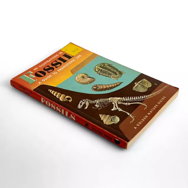 Vintage 1962 FOSSILS A Guide to Prehistoric Life - Golden Nature Pocket Guide