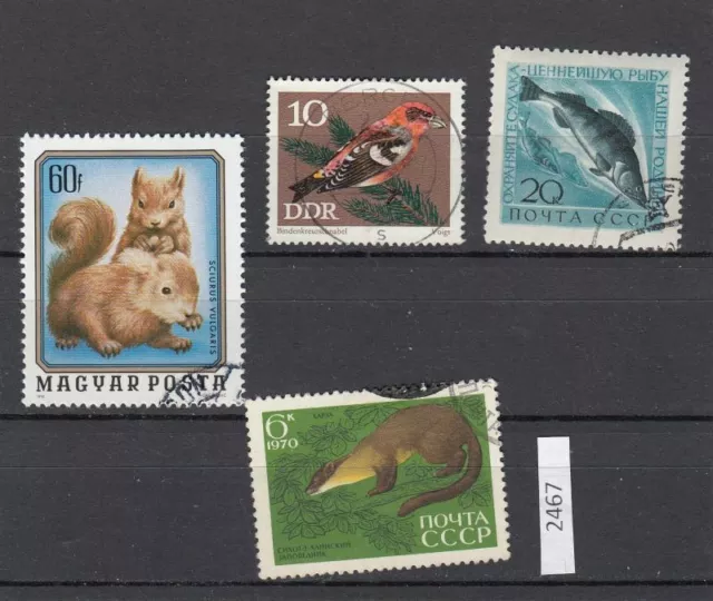 Briefmarken Tiere gestempelt