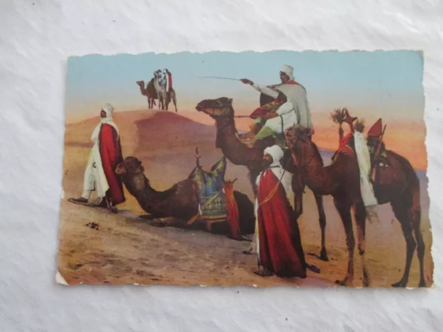 Cpa Algerie Scènes Et Types Méharistes Carte Postale  Ancienne Ecrite 1952