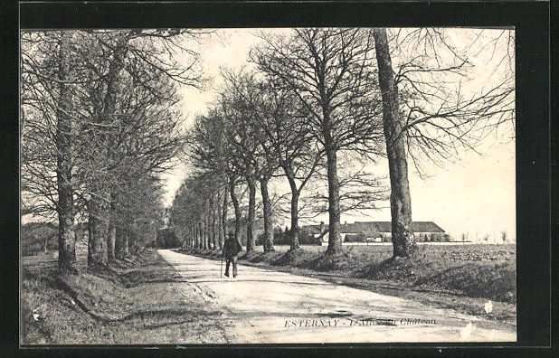 CPA Esternay, L´Allée du Château