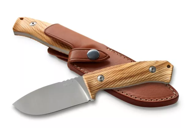 LionSTEEL M3 Olive Outdoor Camping Fixed Blade Knife