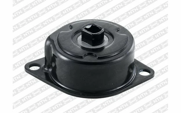 SNR Galet tendeur pour SEAT AROSA GA357.29 - Pièces Auto Mister Auto