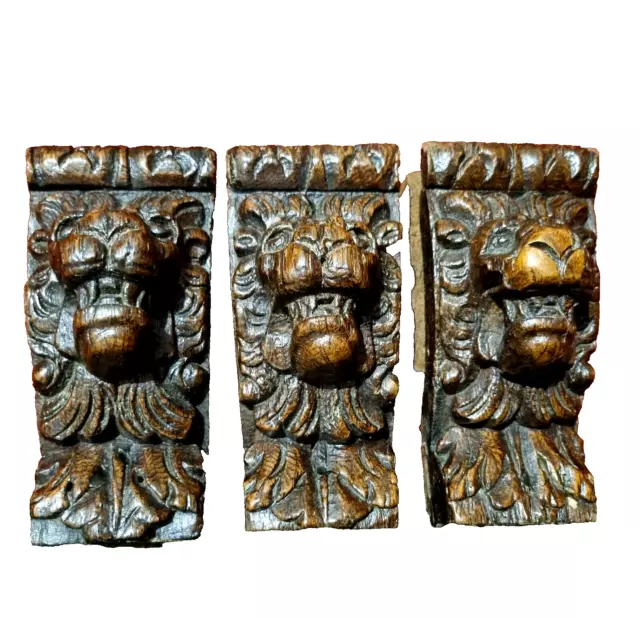 3 Lion 17 th c carving corbel bracket 7" - Antique French architectural salvage