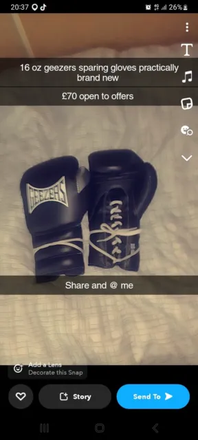 boxing gloves 16 oz sparring