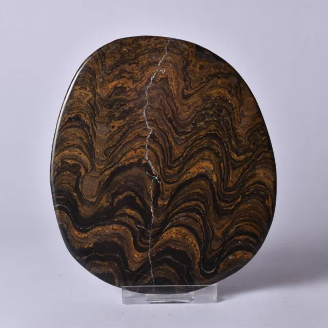 Greysonia Stromatolite Polished Slice Freeform Specimen Display Piece - Bolivia