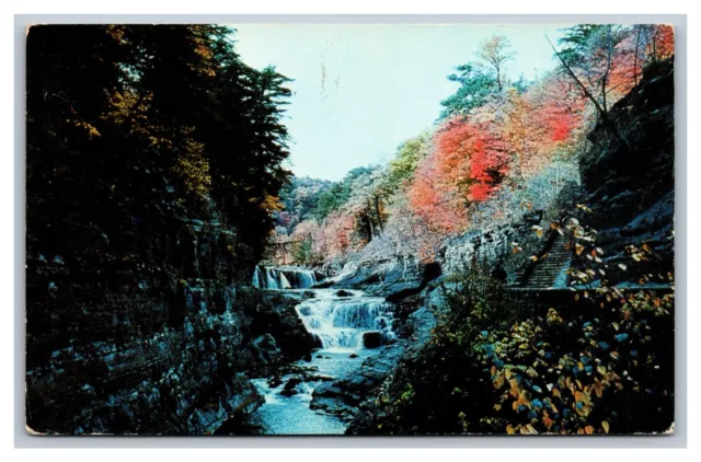 Castile, NY New York, Letchworth State Park, Lower Falls Genesee River, Postcard