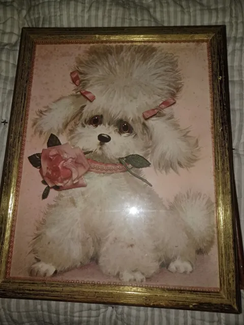 Vintage French Poodle Puppy with Pink Rose Barrettes  Framed Glass 15.5 x 12"