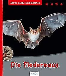 Die Fledermaus von Poschadel, Jens, Möller, Antje | Buch | Zustand gut