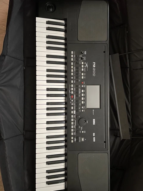 korg pa300
