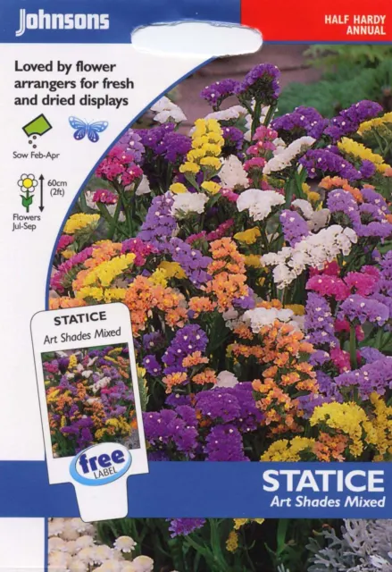 Johnsons Seeds - Pictorial Pack - Flower - Statice Art Shades Mixed - 100 Seeds