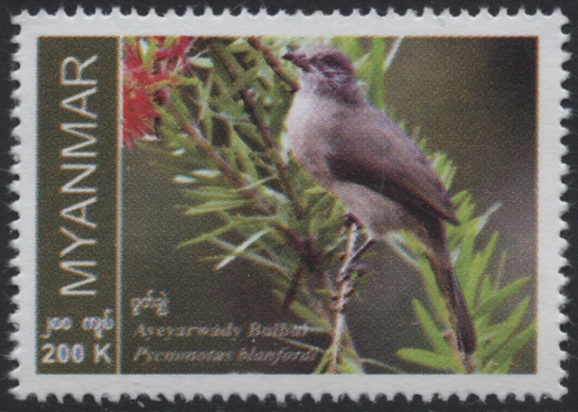 Myanmar Burma 2023 "Einheimische Vogelarten" Pycnonotus blandfordi, MiNr neu