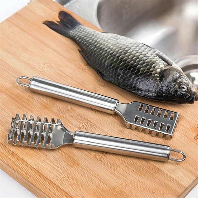 Écailleur De Poisson Acier Inoxydable - Outil Cuisine Efficace Manche Antidérapant