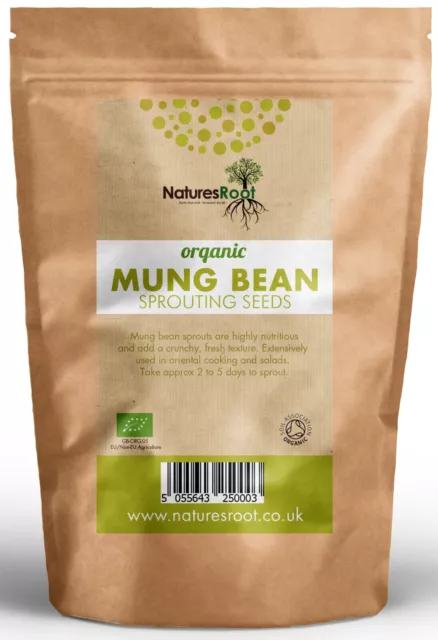 Organic Mung Bean Sprouting Seeds - Superfood | Non GMO | Microgreen Sprouts