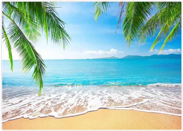 7X5Ft Tropical Beach Background Summer Luau Palm Leaves Ocean Island Seaside Sce