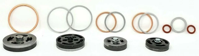 Champion Z102 Champion valve set w/ gaskets