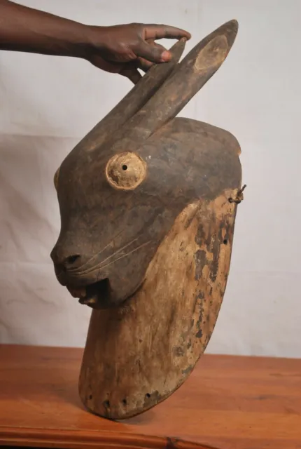 African art, Amazing luba rabbit Animal mask from katanga Congo (Zaire) 5