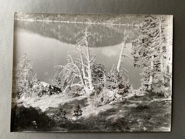 Bernard Darot XXe H6292 Dead Tree in front of Lake N°4 Silver Photo