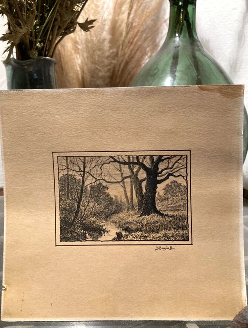Lithographie / Estampe Ancienne J. Bergère - Fin XIXe Fleurs Arbres - 18x17 Cm
