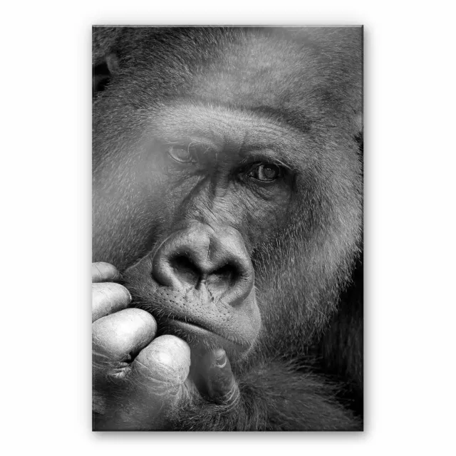 Acrylglasbild Braun - Der Gorilla Affe Wandbild Wanddeko Deko Glas