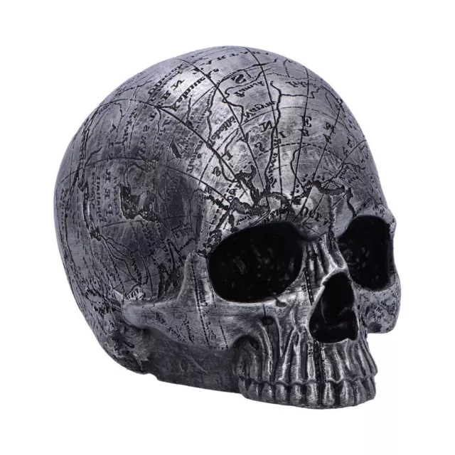 Nemesis Now - 15Cm Mind Map Skull Head Resin Ornament