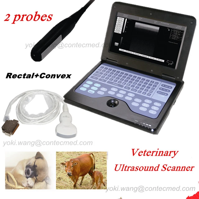 ANIMAL ULTRASOUND SCANNER Digital Laptop Machine Convex+Rectal 2 Probes ...
