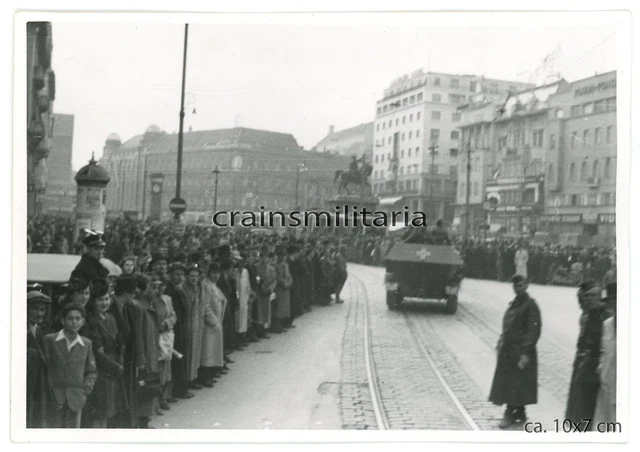 Agram ORIG. FOTO 14.PD SdKfz 251 Panzerspähwagen in AGRAM Zagreb Kroatien ...