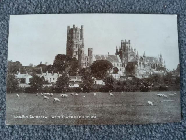 Ely Cathedral, West Tower From South, Sepiatone Series, No 3796. Photochrom. 