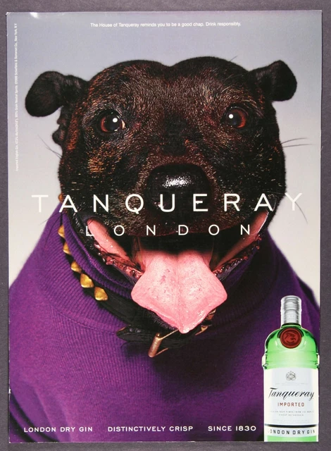 Tanqueray Dry Gin London Black Dog in Sweater Vintage Print Ad November 1999