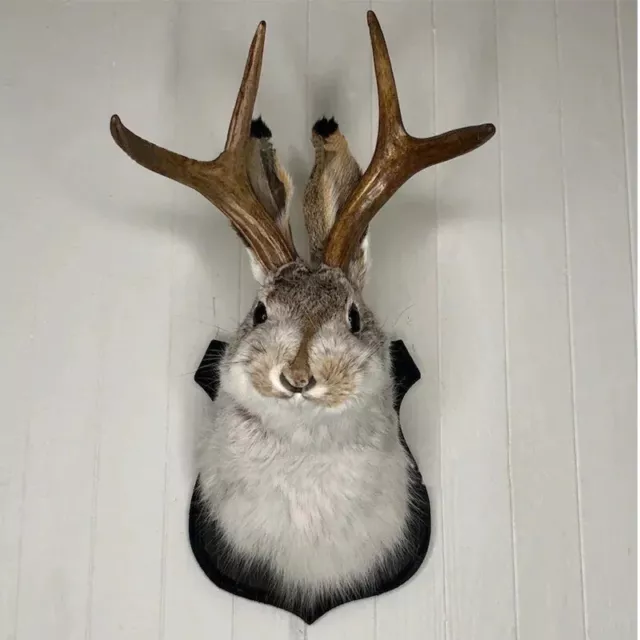 Jackalope Statue Wall Mount Antler Rabbit Head Hang Sculpture Animal Home Décor