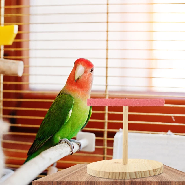Papagei Vogelständer Vogelspielzeug Aus Vogelkäfig-Plattform Zubehör Büro