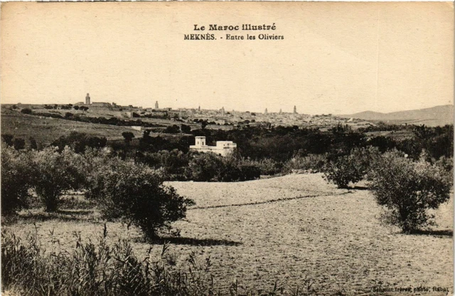 CPA AK MEKNES - Entre les Oliviers MAROC (796577)