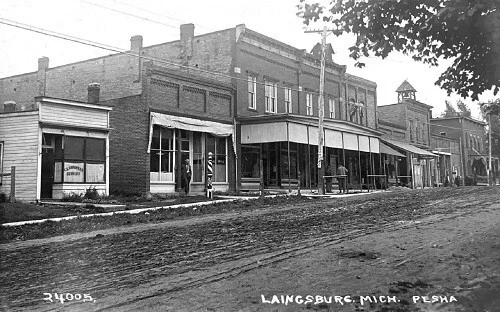 Street View Laingsburg Michigan MI Reprint Postcard