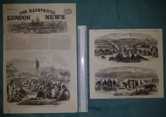 3x New Zealand Wars (Waikato & Tauranga) scenes 1864 Illustrated London News