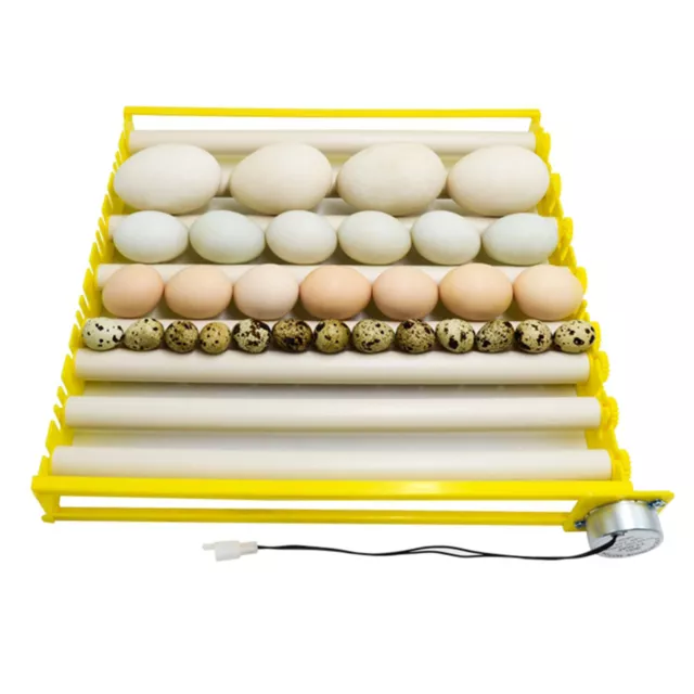 Egg Incubator Tray Automatic Egg Turner for Duck Pigeon 220V 7 Tubes