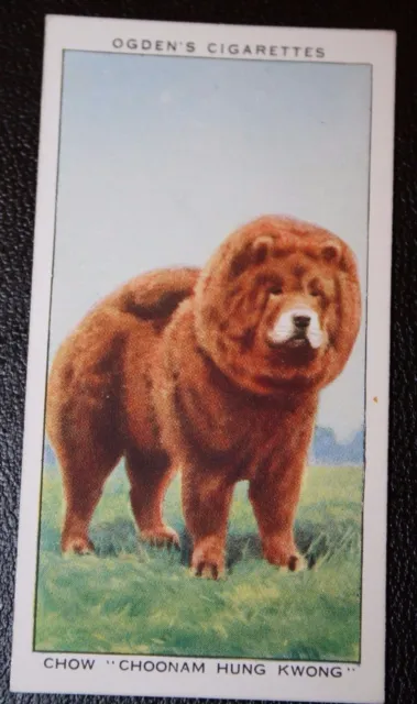 CHOW CHOW  CRUFTS CHAMPION  Original 1930's Vintage Coloured Card  BD11M