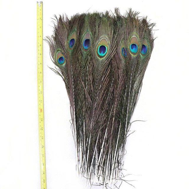 Accesorios para el hogar de Navidad de 10 piezas/lote de 40-45 cm 16-18 pulgadas de plumas de pavo real naturales
