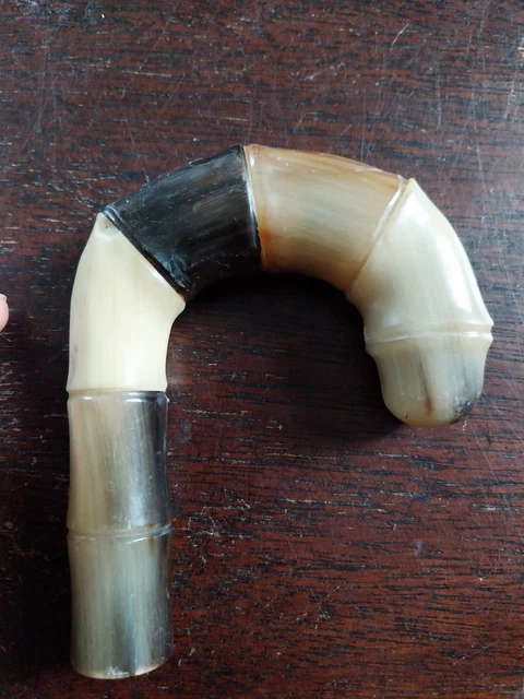 Cor de chasse dit grand cor - Detail