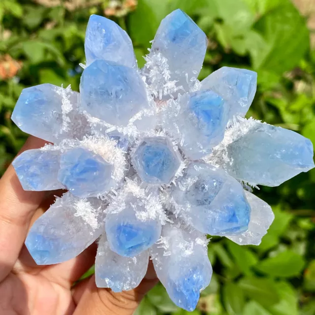 325G New Find sky blue Phantom Quartz Crystal Cluster Mineral Specimen Healing