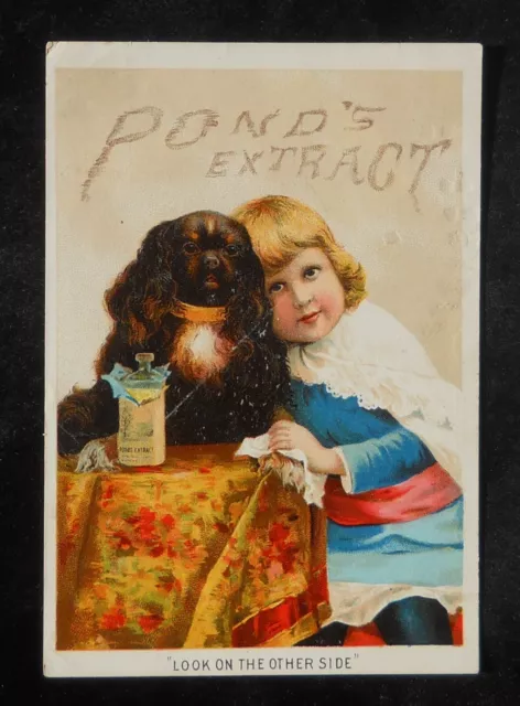 1880s VTC Dog & Kid Pond's Extract Pain Destroyer NYC W. F. Maulick Columbia PA