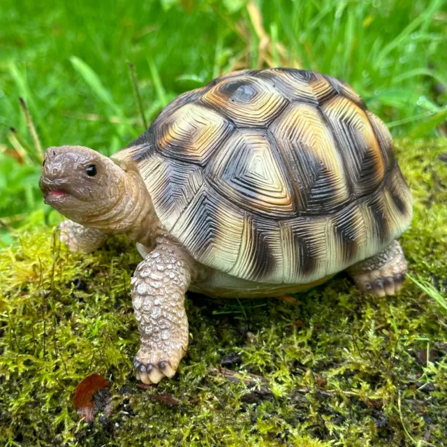 REALISTIC TORTOISE HOME or garden ornament decoration statue turtle lover  gift £16.95 - PicClick UK