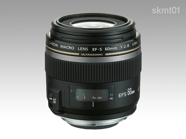 Canon EF-S 60mm F2.8 Macro USM Lentille pour EOS De Japon DHL Rapide Bateau